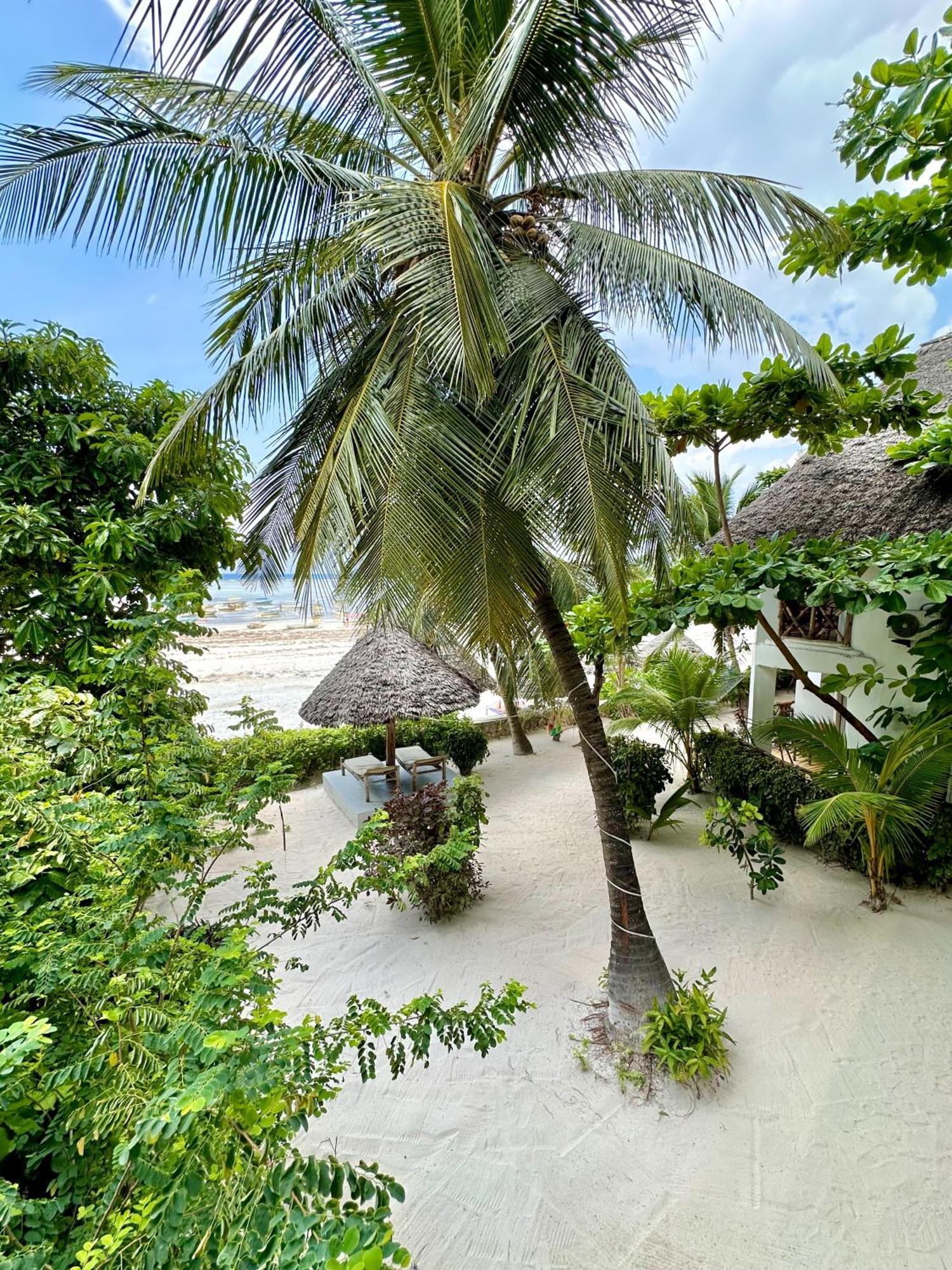 Hebe Bungalows Lodge Matemwe  Exterior foto
